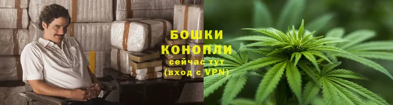 Бошки марихуана SATIVA & INDICA  Изобильный 